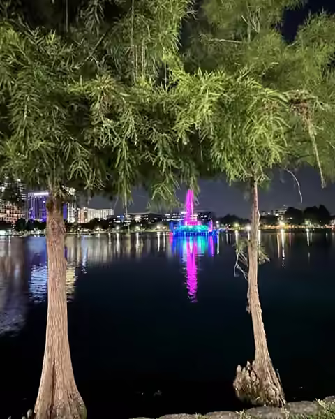 Two cypress trees framing the lit fountain and skyline across Lake Eola