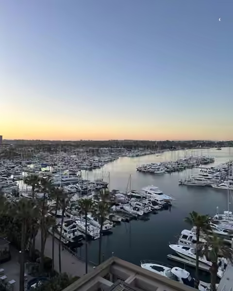 A harbor full of boats and palm trees on Santa Monica Bay at sunrise