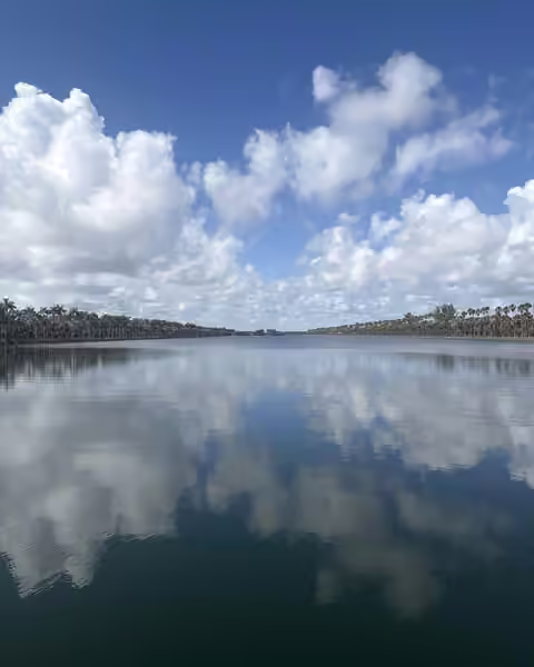 Clouds reflected in the lake between rows of palms on the Homestead site